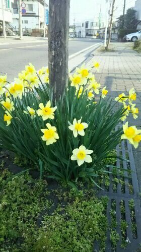rblog-20170405223525-01.jpg