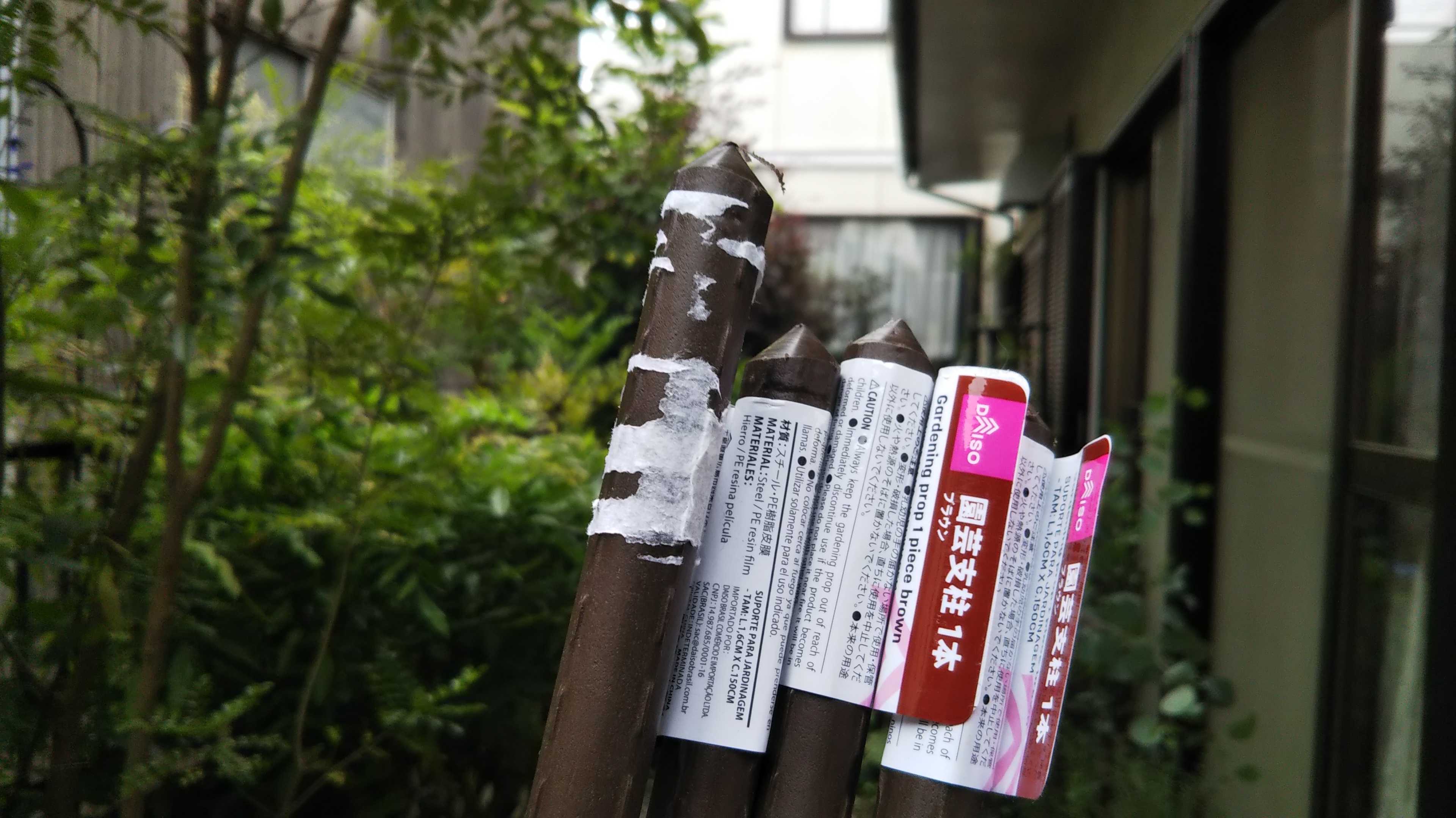 モッコウバラの支柱やり直し ネメシアの切り戻しと挿し芽 シェードガーデンと猫 楽天ブログ