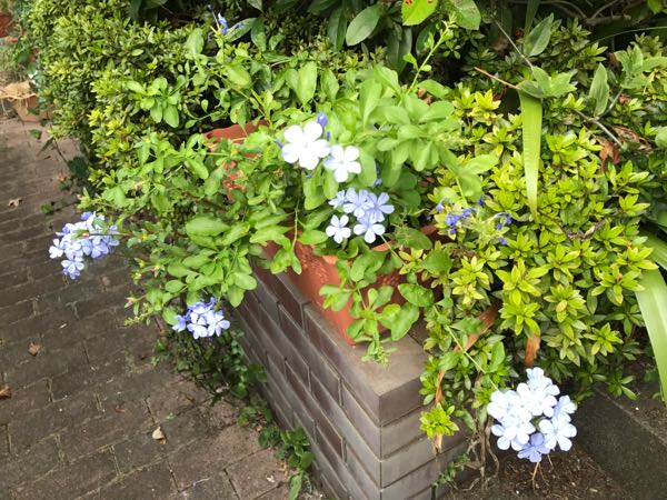 rblog-20170828173644-08.jpg