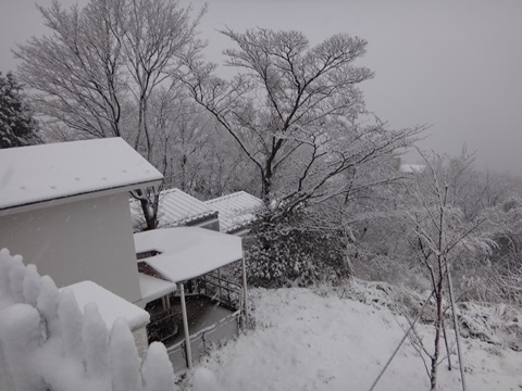 DSC03632.JPG