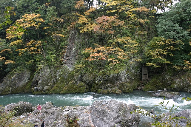 人間との大きさの比較