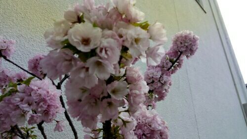 rblog-20180407095417-03.jpg