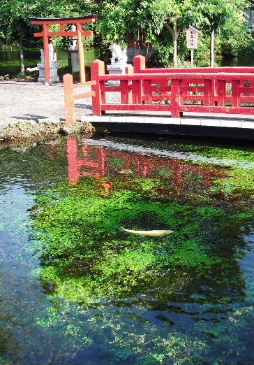 201208静岡0014.JPG