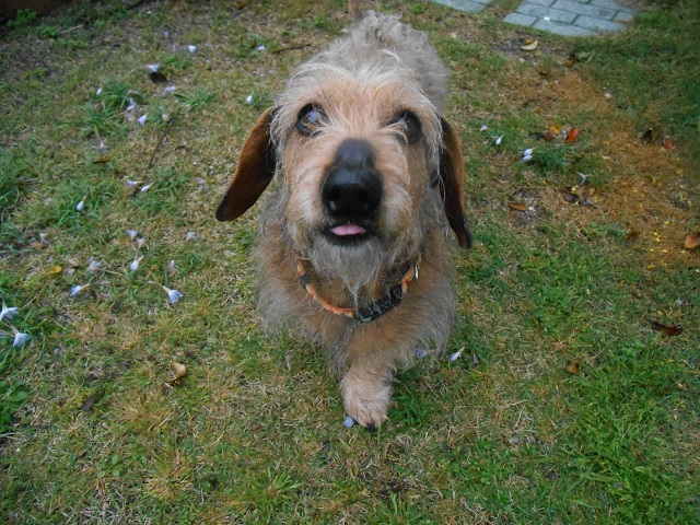 DSCN1534.JPG