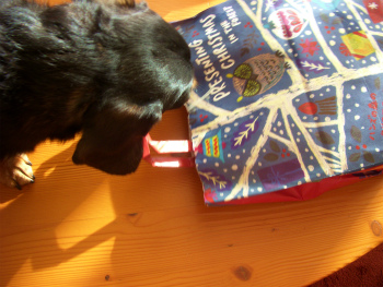 ９回　クリスマス