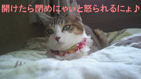 2012_0330うさちゃん1313.JPG