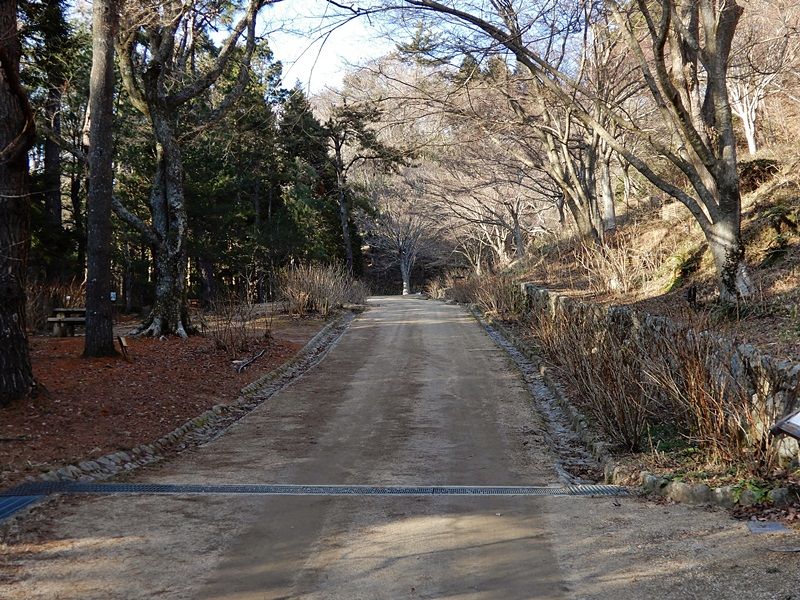 あじさい坂6