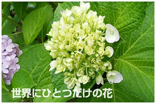 rblog-20160628012006-00.jpg