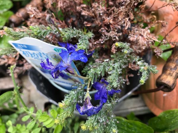 rblog-20190426180311-07.jpg