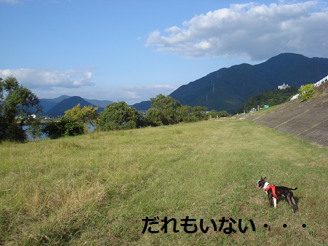 DSC05133.jpg