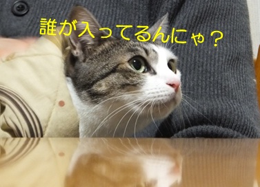 20121116_2.jpg