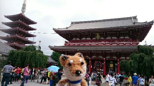 rblog-20150716102403-01.jpg