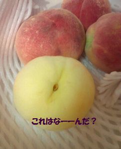 2012080320330000.jpg