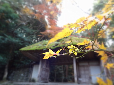 2012120206