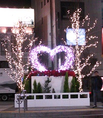 DSC_7728-9.jpg