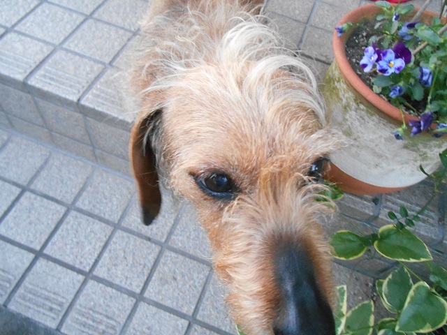 DSCN0268.JPG