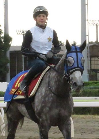 大井競馬場便り 地方競馬の楽天競馬 日替わりライターブログ 楽天ブログ