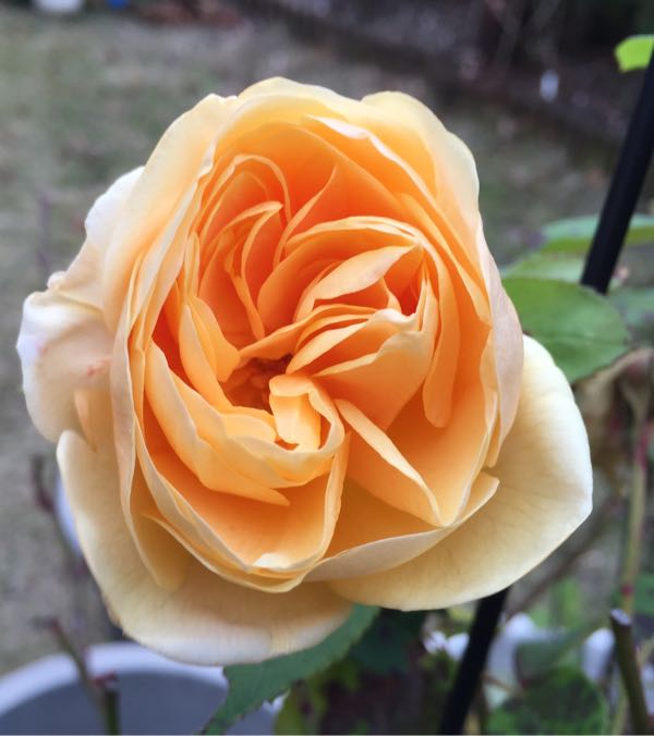 rblog-20151227164050-06.jpg