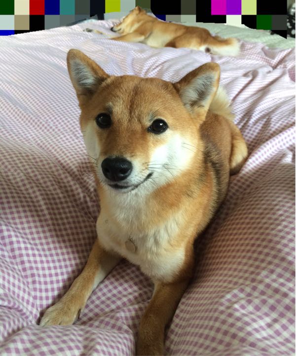 rblog-20160119212951-01.jpg
