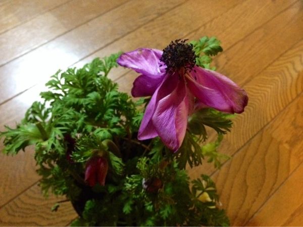 rblog-20140301210852-02.jpg