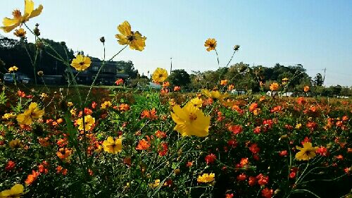 rblog-20150926102928-02.jpg