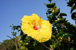 DSC03098.jpg