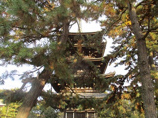 IMG_3898ss.jpg