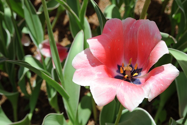 2013.4.26 051.JPG