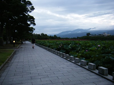 お堀沿道