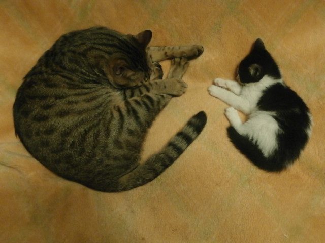 PA290498.JPG