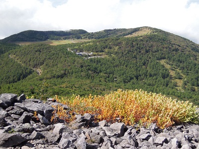 DSCN5814s.jpg