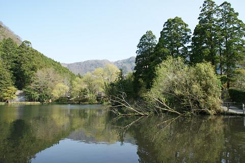 DSC00956 - コピー.JPG