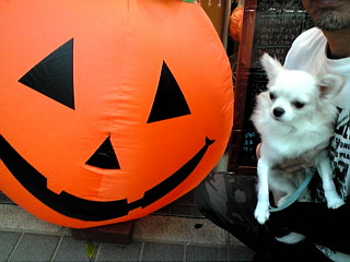 2015-10-24 11:02:46