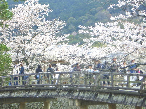 小橋2.JPG