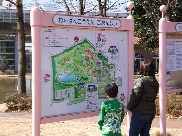DSCF9508.jpg