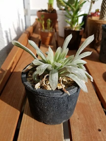 rblog-20170322112057-06.jpg
