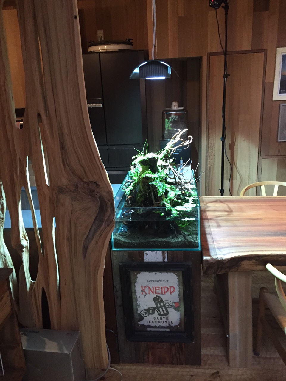S__2523169.jpg