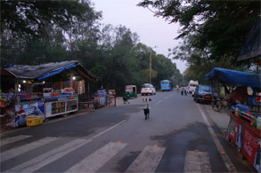 インド280.jpg