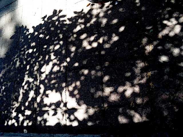 120519_131913.jpg
