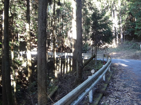DSC07494.JPG
