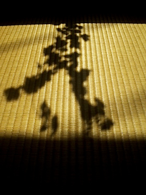 120406_133135.jpg