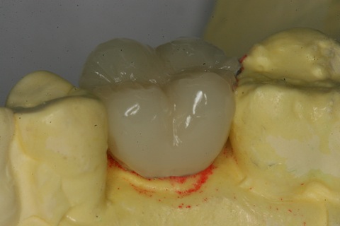 IMG_7037 のコピー.JPG