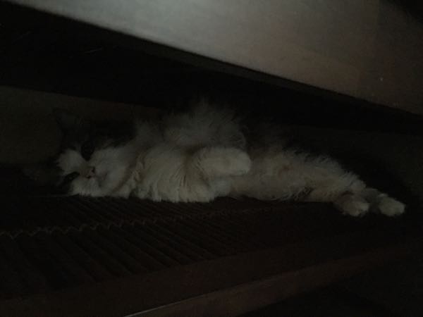 rblog-20150820090244-04.jpg