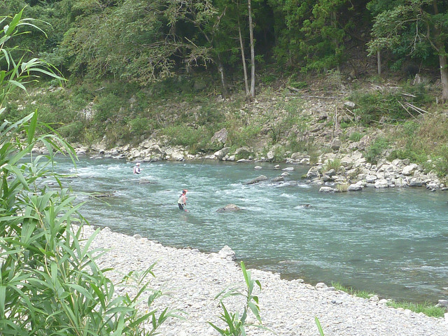resize0039.jpg