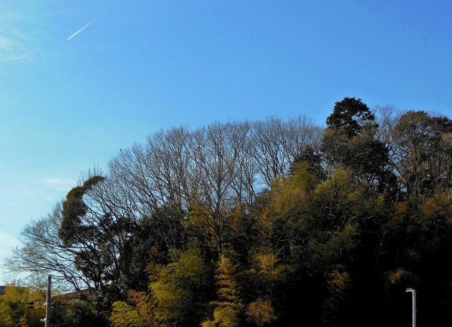 空