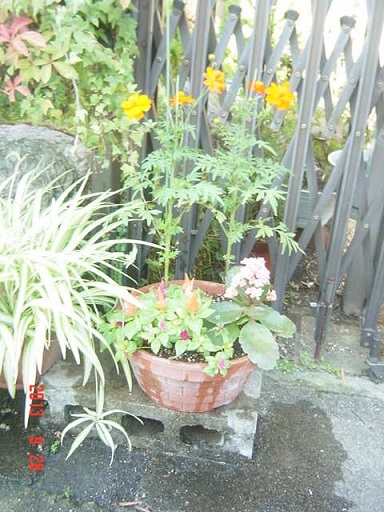 DSC01218.JPG