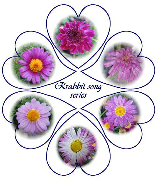 挿し芽株の親株 2