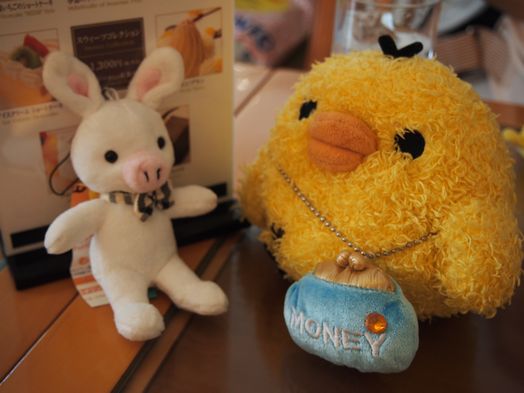 ぽんちゃんの素顔.