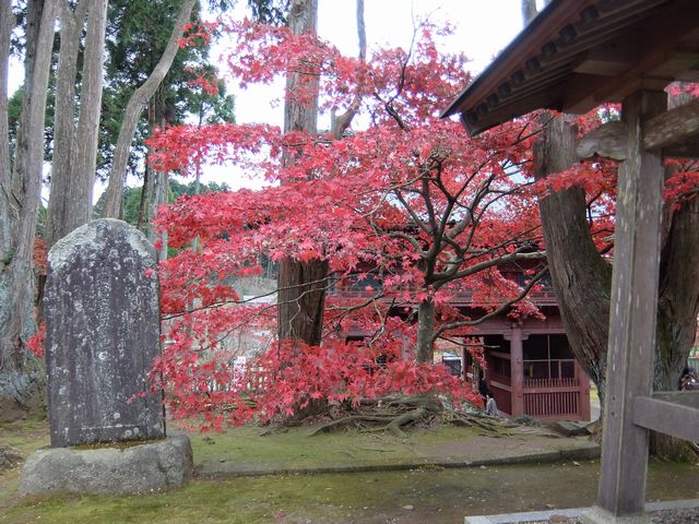 神野寺1363.jpg