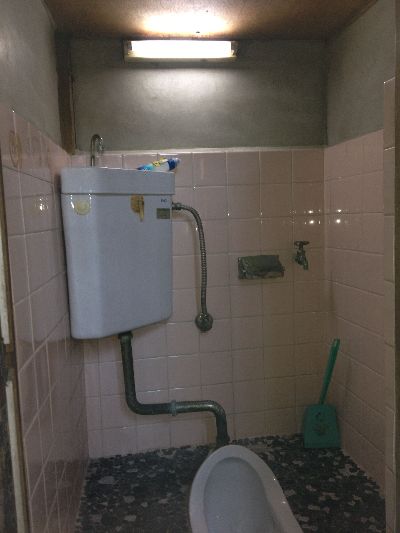 toilet2.jpg
